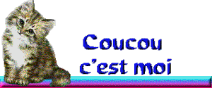 Gif animé coucou c'est moi chat